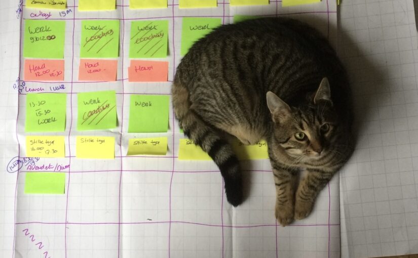 Vertragen, concept of ‘werk’-woord?